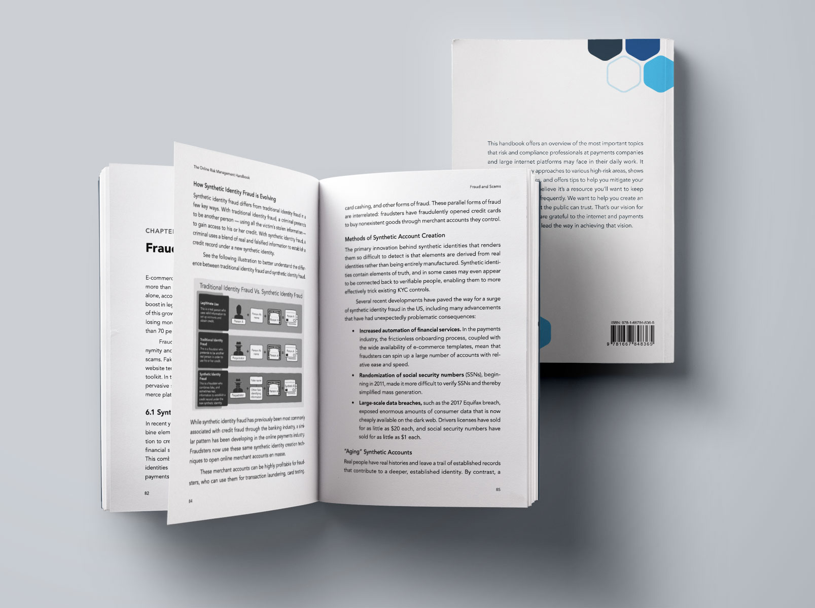 ormh-inside photo of Online Risk Management Handbook inside pages
