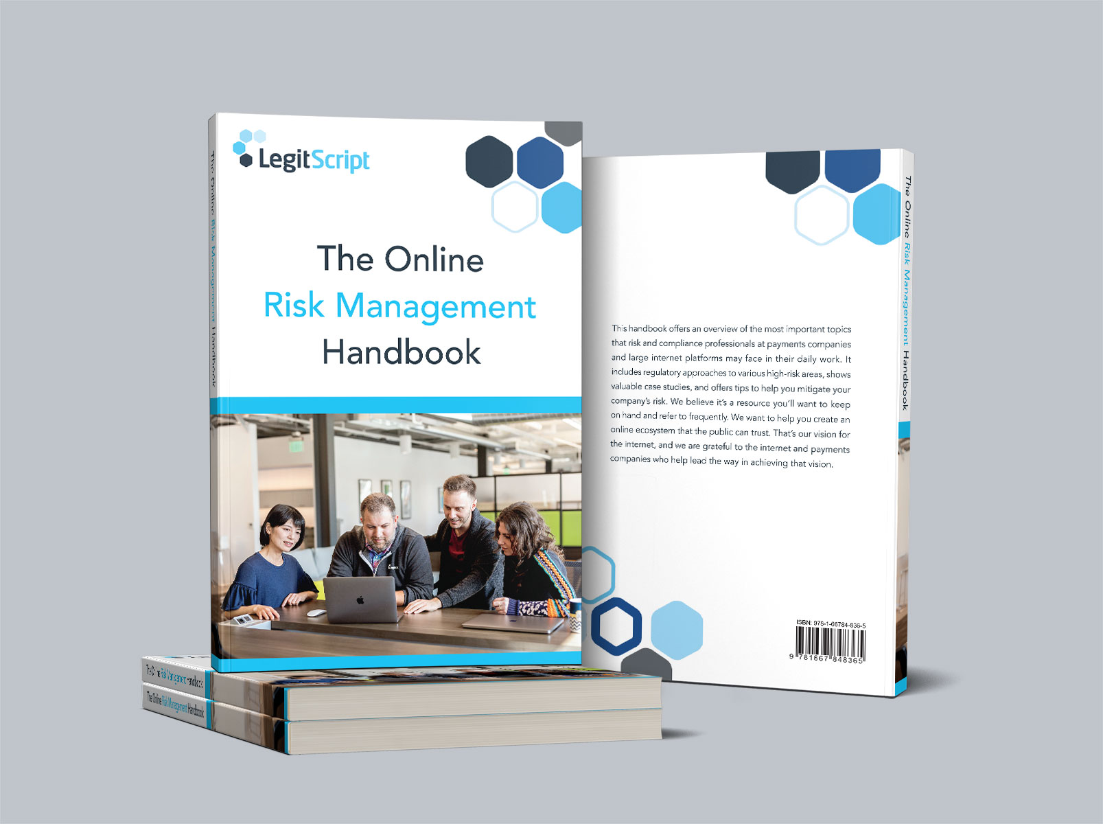 ormh-stacked photo of Online Risk Management Handbook front and back covers