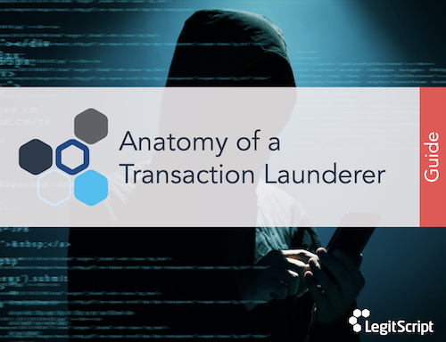 Anatomy-of-a-Transaction-Launderer-Thumb