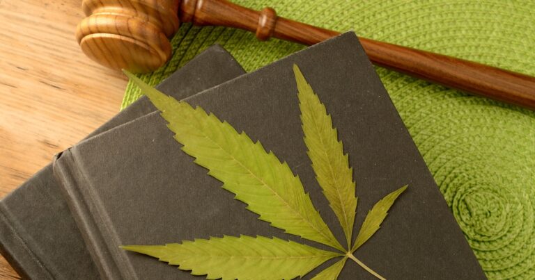 A conceptual image focused on the legal information of Marijuana using books and a gavel and weed leaf to illustrate this idea.