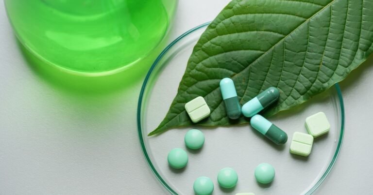 Mitragyna speciosa korth (kratom) drug plant with pills in the laboratory research.