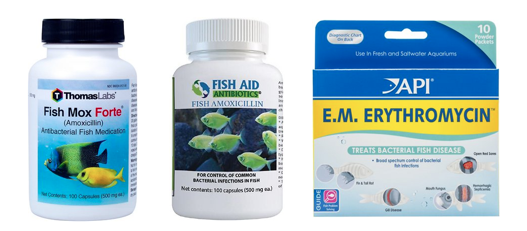 Three examples of fish antibiotics products sold online