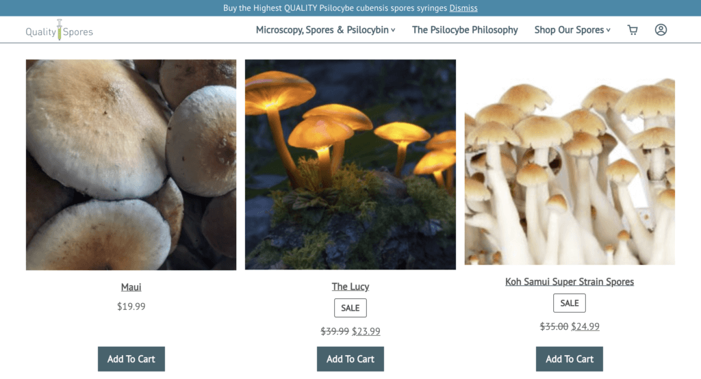 pictures of magic mushrooms for sale
